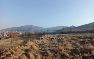 Teren extravilan 3000 mp de vănzare - Poză 4