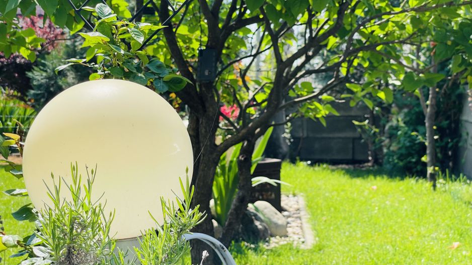 OFERTA VANDUTA - Casa Sacalaz - curte superba | 180 mp, 5 camere - Poză 9