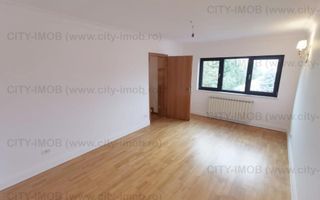 Inchiriere Vila Iancu Nicolae,  Nord,  Pipera - Poză 18