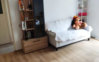 Apartament cu 3 camere / 51mp/ Dacia-Bicaz - Poză 3