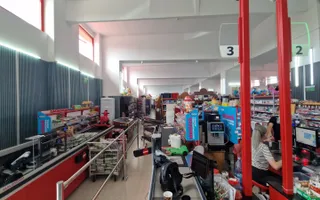 OPORTUNITATE  DE INVESTIȚIE: Supermarket la cheie , teren de 7.000 mp - Poză 14