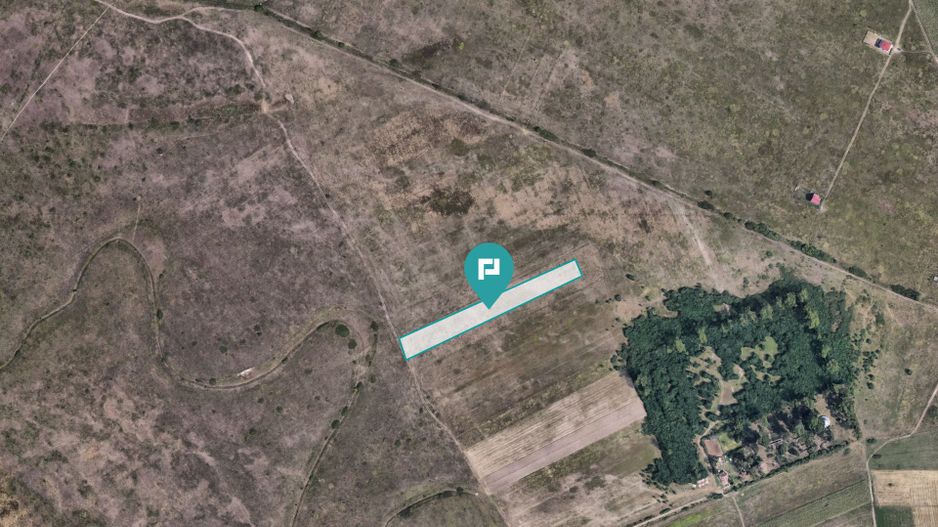 Teren extravilan de 10.000 mp - Poză 3