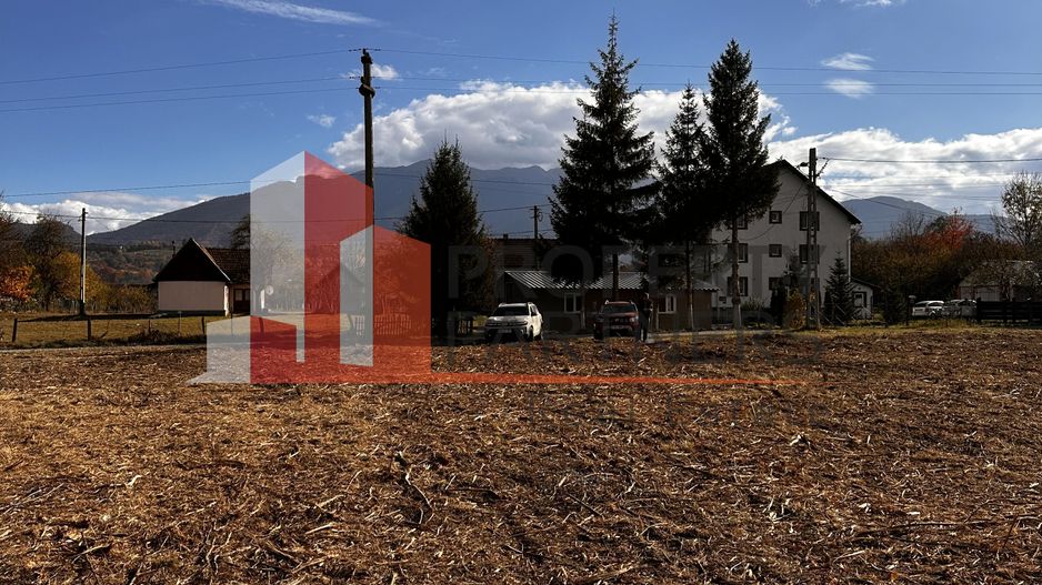 Teren Bran / Predelut - Poză 7