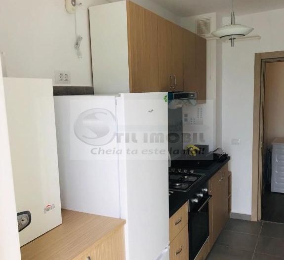 Apartament 1 camera Iulius Mall 350 euro - Poză 5