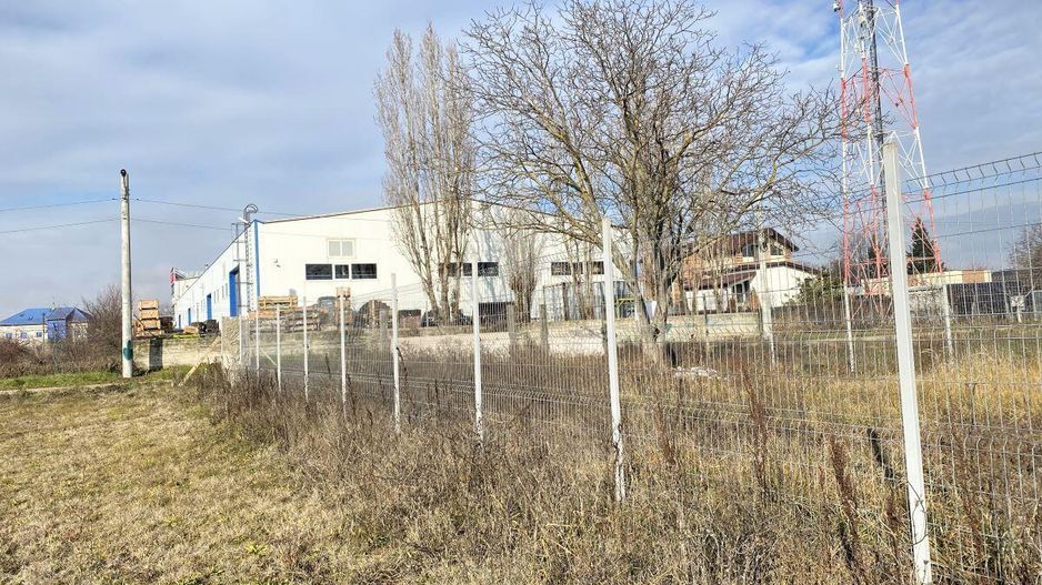 Afumati - Str. Iasomiei, 2409 MP, stradal, intravilan, deschidere 12 m - Poză 19