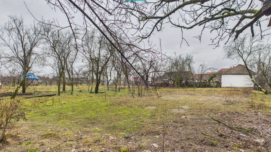 Casă modernă P+1, cu magazin, lângă orașul Sebiș - Poză 35