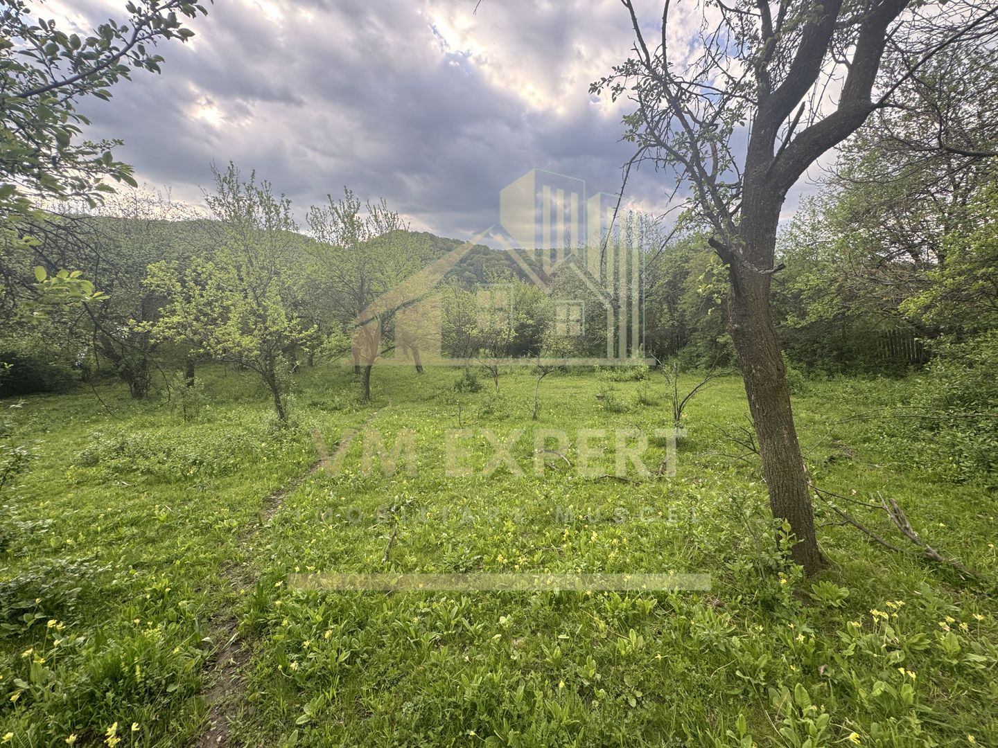 TEREN INTRAVILAN 7018 MP CAMPULUNG - Poză 11