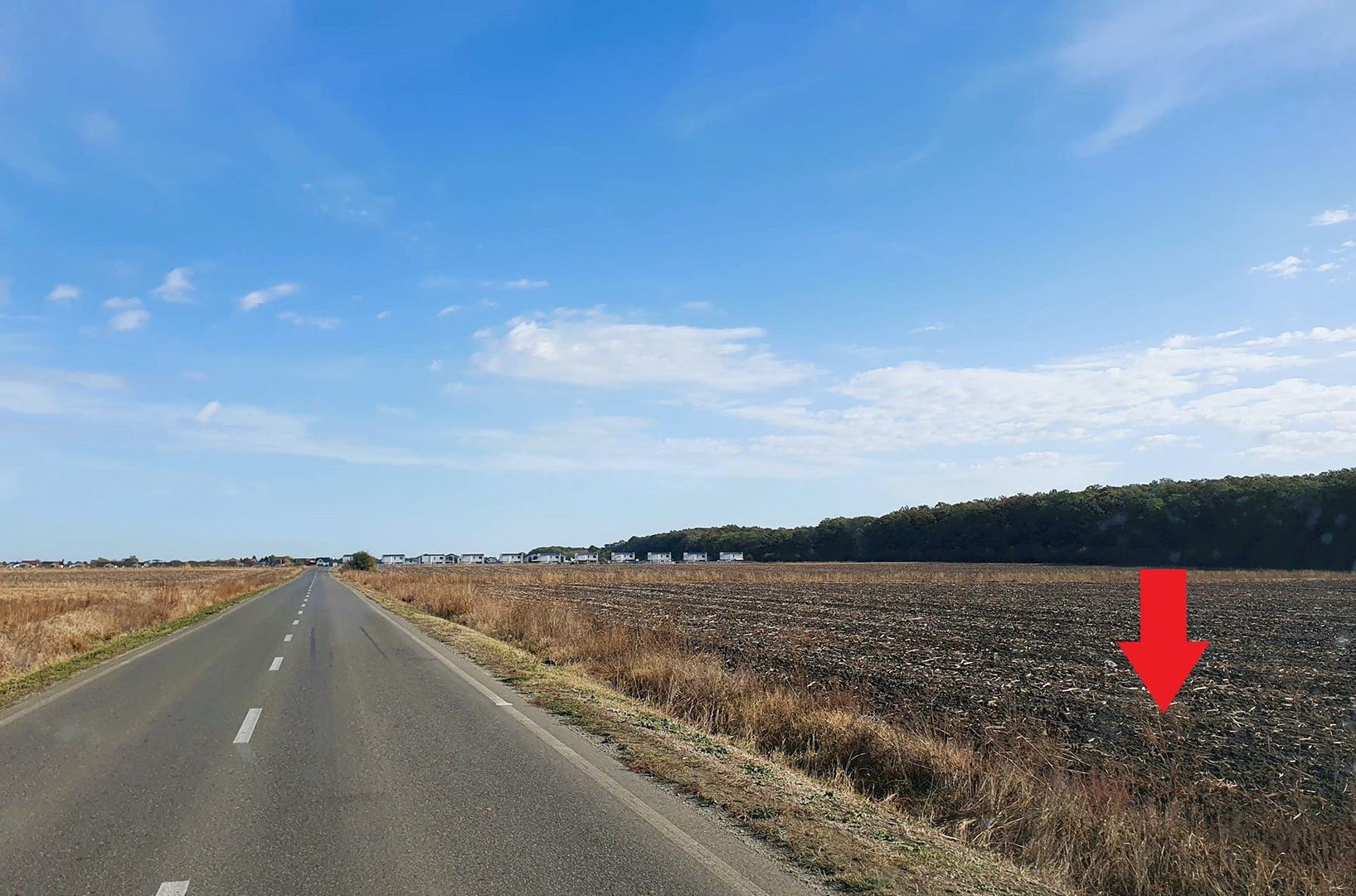 Teren de vânzare lângă pădure, intravilan - Poză 1