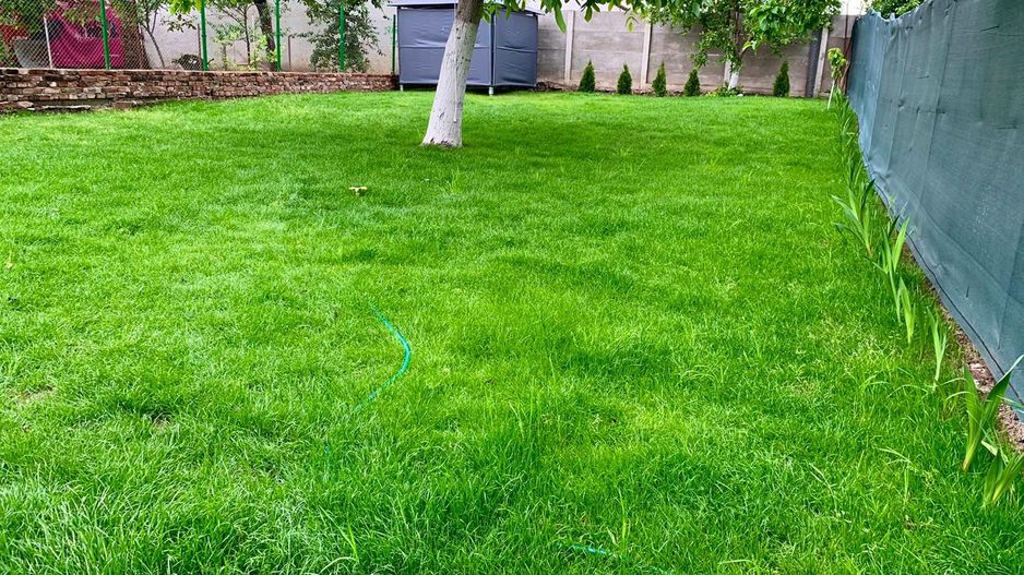 COMISION 0% - Casă P+M și teren de 270 mp în Bălcescu - Poză 8