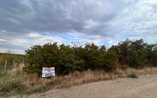 Teren 935mp Bradesti / Strada Valea Rea - Poză 1