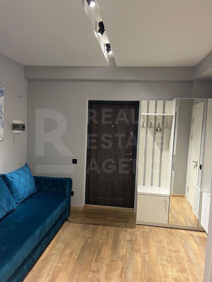 Chirie, apartament, 1 cameră, str. Sprîncenoaia, Centru - Poză 5