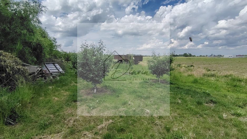 Teren intravilan Ciocanesti Cretu - 9282 mp divizat in 15 loturi - Poză 6