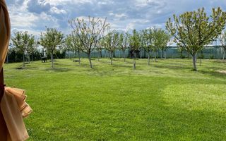 Cabana de lemn, 2 camere, teren 850 mp, livada, Oarda, Alba Iulia - Poză 4