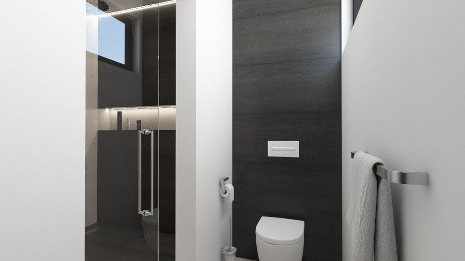 Palazu Mare - Casa desfasurata pe parter, proiect deosebit - Poză 43