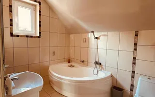 Vila remarcabila+casa boiereasca,in pretios areal de 2.100 mp, Santana de Mures - Poză 22