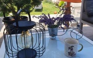 2 Case | 600 mpu | 11 Camere | Terezian - Poză 9