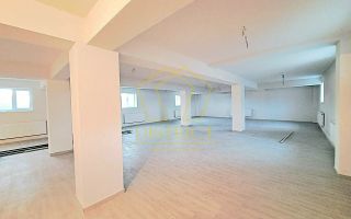 Spatiu Comercial tip Hala I Giroc - Poză 1