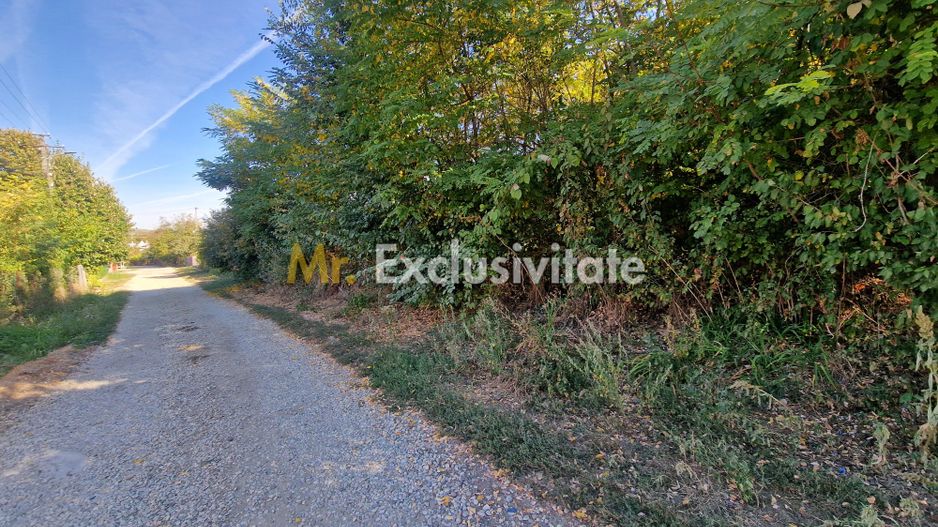Teren intravilan Topoloveni - Poză 3