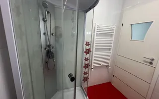 Apartament modern 2 dormitoare+living Nicolina T.Neculai - Poză 22