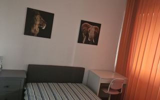 Apartament  Parcul Tineretului // Șincai - Poză 4