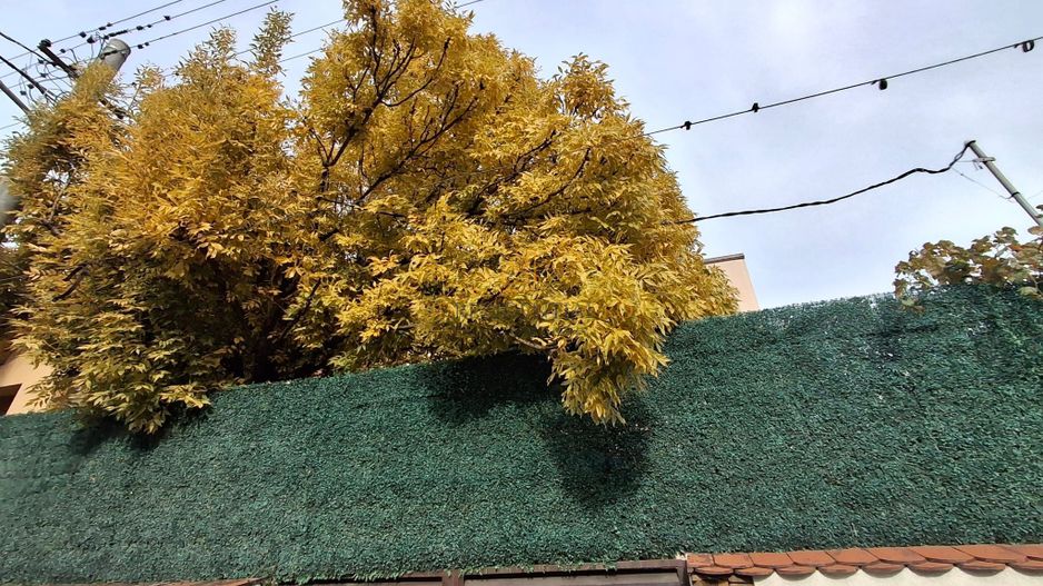 Spatii de inchiriat pentru birouri/activitati comerciale – Brancoveanu - Poză 3