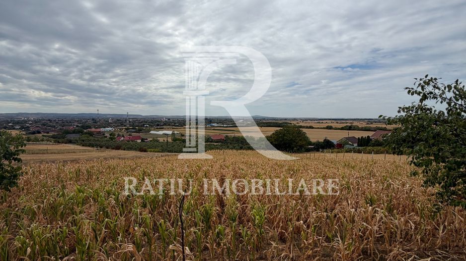 Teren intravilan 1.770 mp – Uileacu de Criș, Tileagd - Poză 2