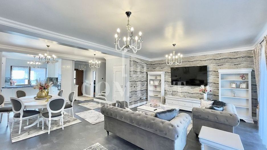 Casă ultramodernă de închiriat Gruia zona străzii Vânătorului - Poză 1