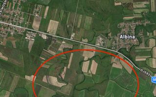 Teren Parcele Industriale Mosnita Noua - Poză 3