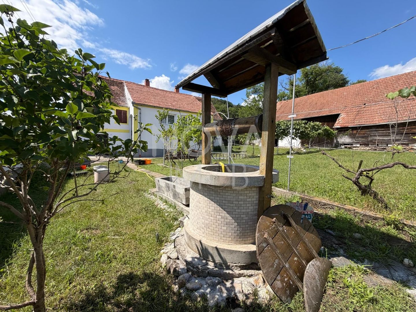 Casa individuala cu teren generos – 8.356 mp – Tichindeal, jud. Sibiu - Poză 4