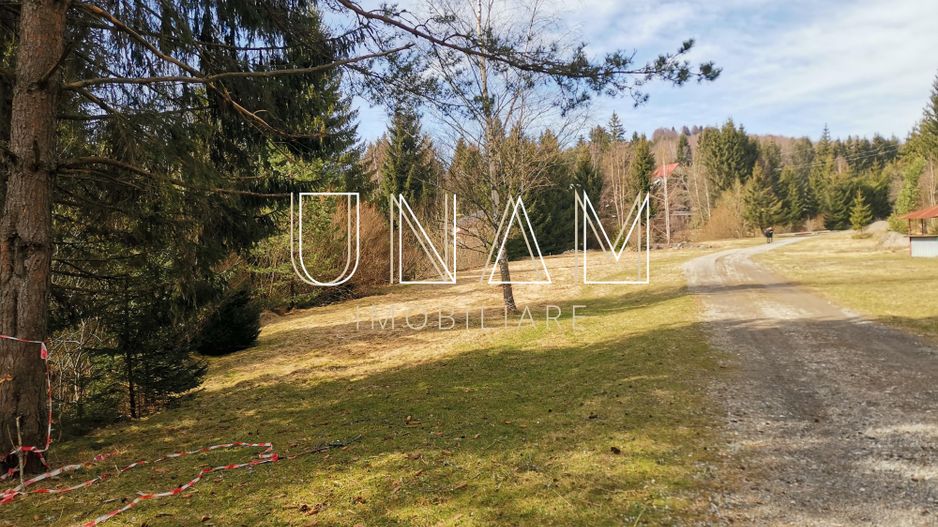 ***OFERTA NOUA*** Teren lângă Scenă, în Poiana Lupului, Gărâna - Poză 5