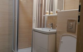 Apartament 2 camere Nicolae Grigorescu - Poză 10