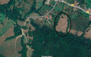 Teren extravilan de vânzare 11.740 mp Corbeni Turburea Argeș - Poză 3