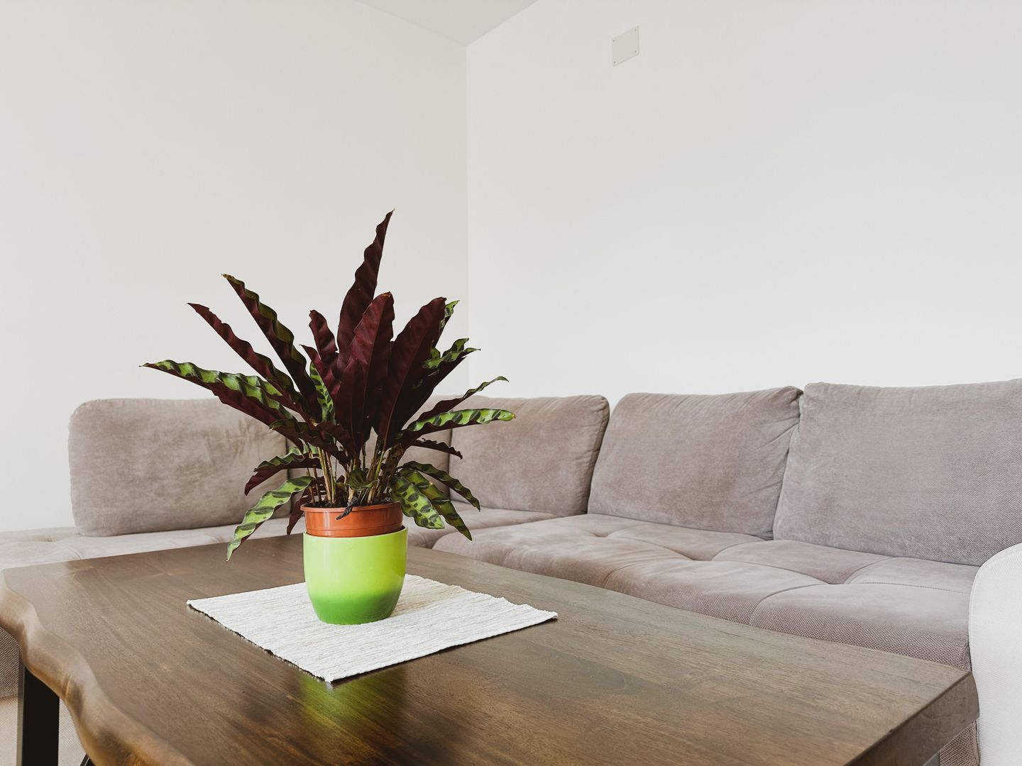 Dumbravita - Casa 5 camere, 179 mp | Mobilat & Utiliat | Garaj - Poză 24