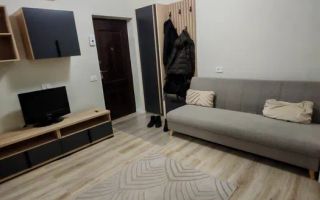 2 Camere Open space, Parcare, Intre lacuri, Iulius Mall, FSEGA,Dunarii - Poză 4