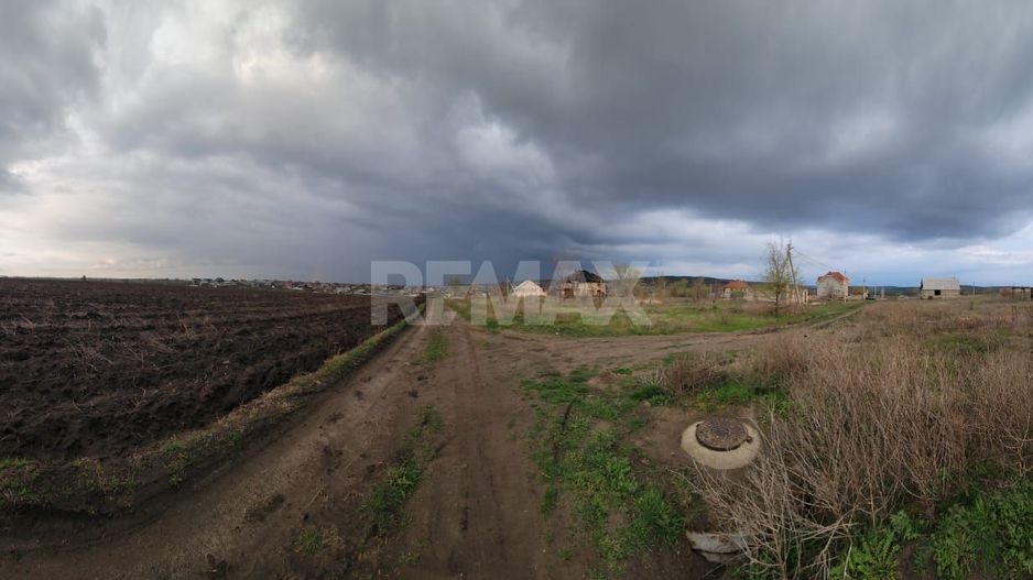 Teren Agricol de Vânzare - 162 Ari în or. Singera, Extravilan 🌿 - Poză 4
