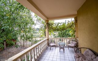 Freidorf - Vila Multifunctionala - D+P+1, 380 mp utili! - Poză 3