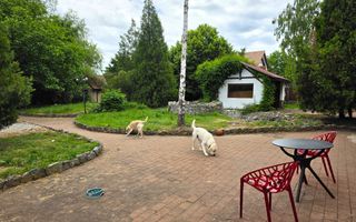 Casă premium cu piscină și curte superbă, 1759 mp teren, Micești - Poză 31