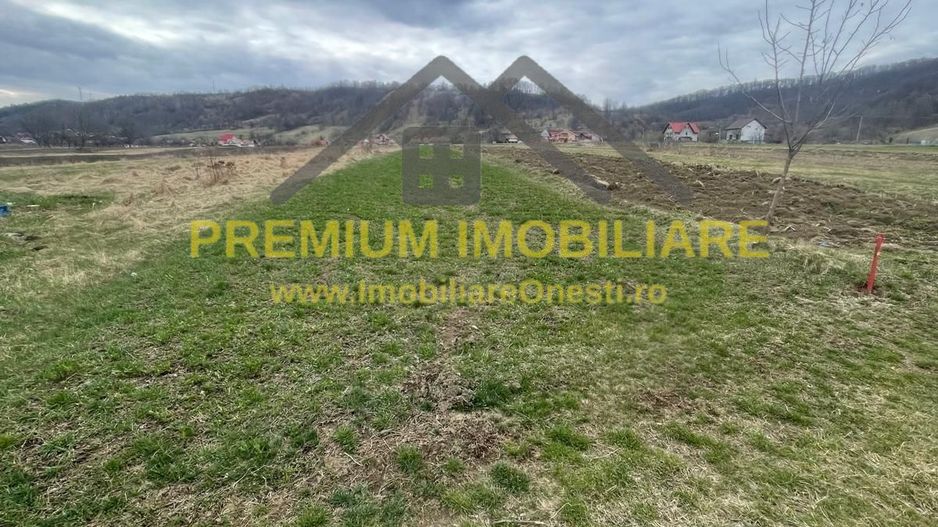 Vânzare teren 3145 mp – Mănăstirea Cașin, Onești - Poză 6