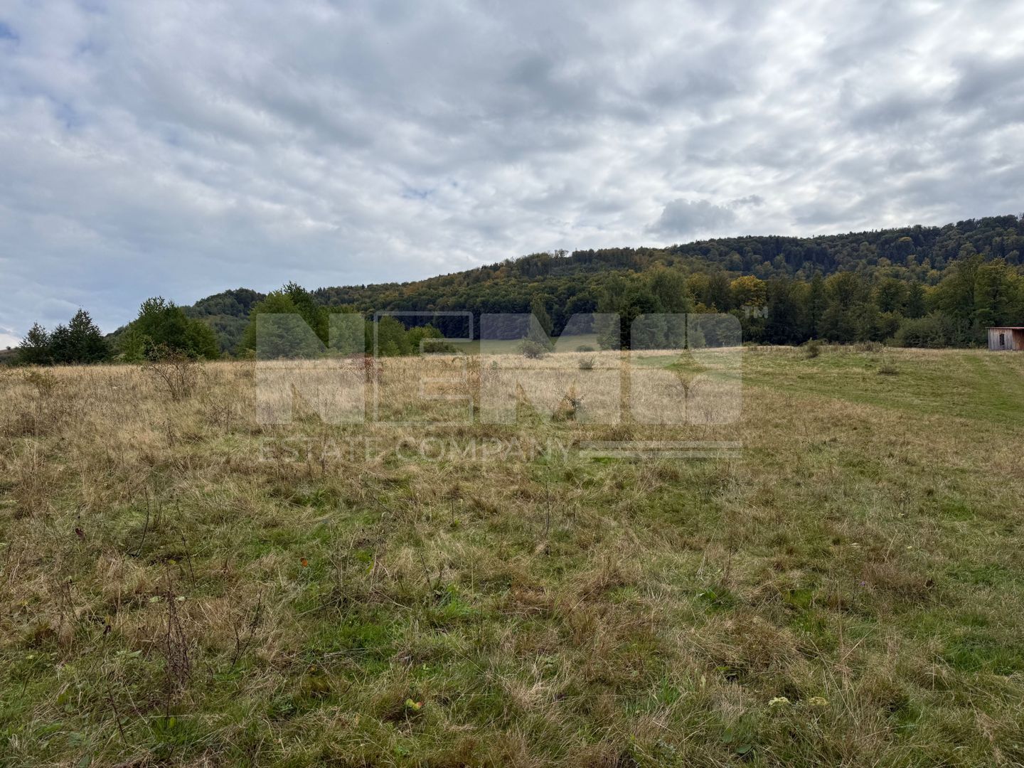 Teren de vânzare în Putna | 6.400 mp | 56 m front stradal - Poză 10