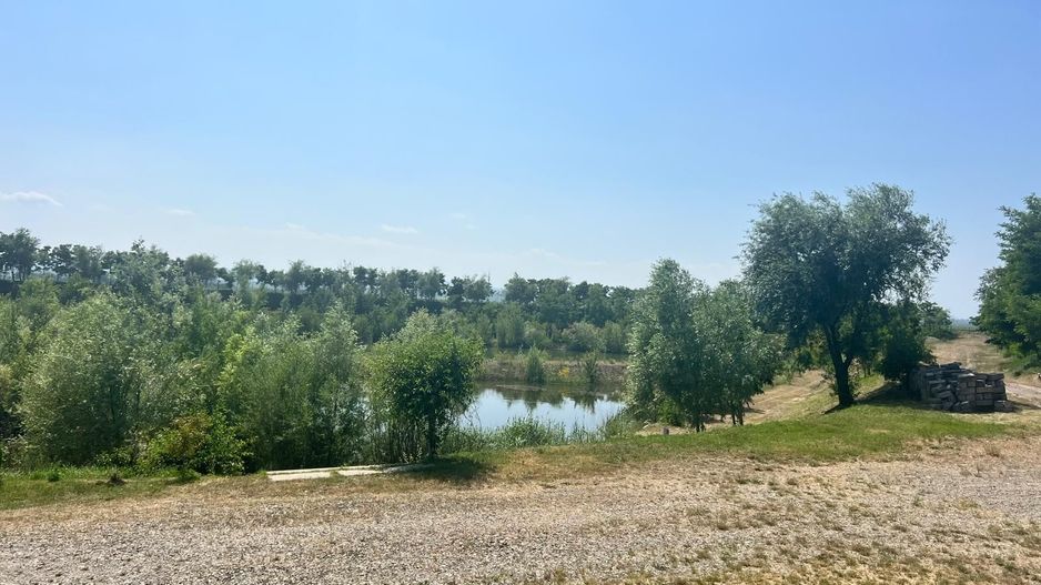 Iaz Piscicol Bacau Saucesti - Poză 9