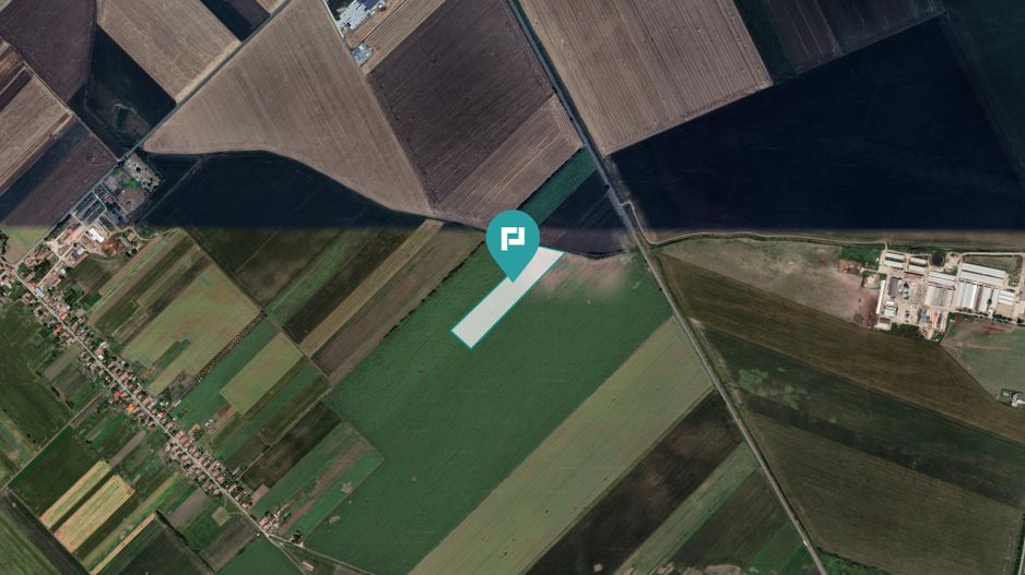 Teren extravilan de 22500 mp în Variașul Mare - Poză 3