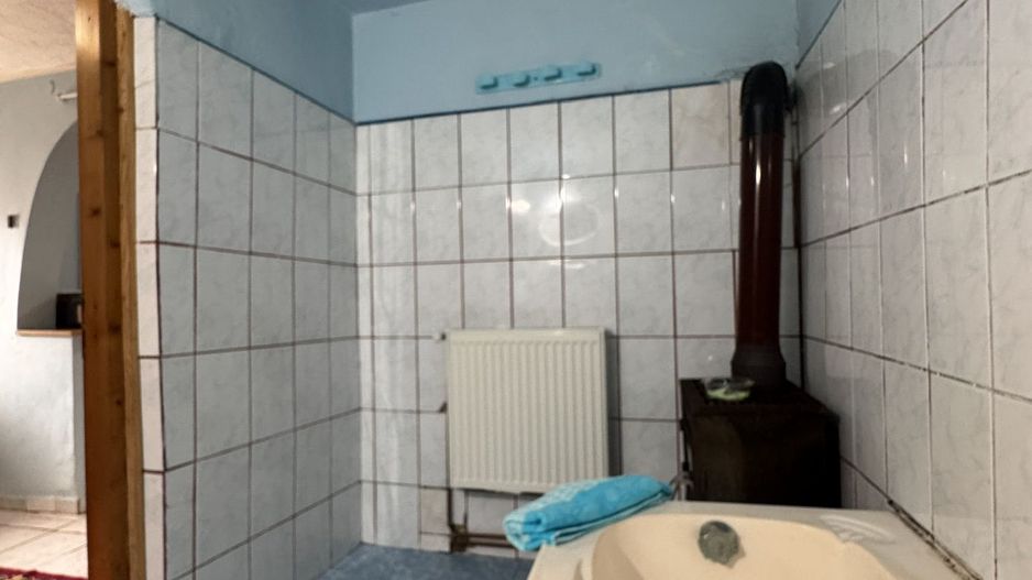 De vânzare Casă în Grădiște, curte + grădină proprie generoasă Arad - Poză 24