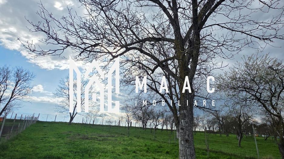 Casa individuala I Curte I Teren 1700 mp I Rosia - Poză 48