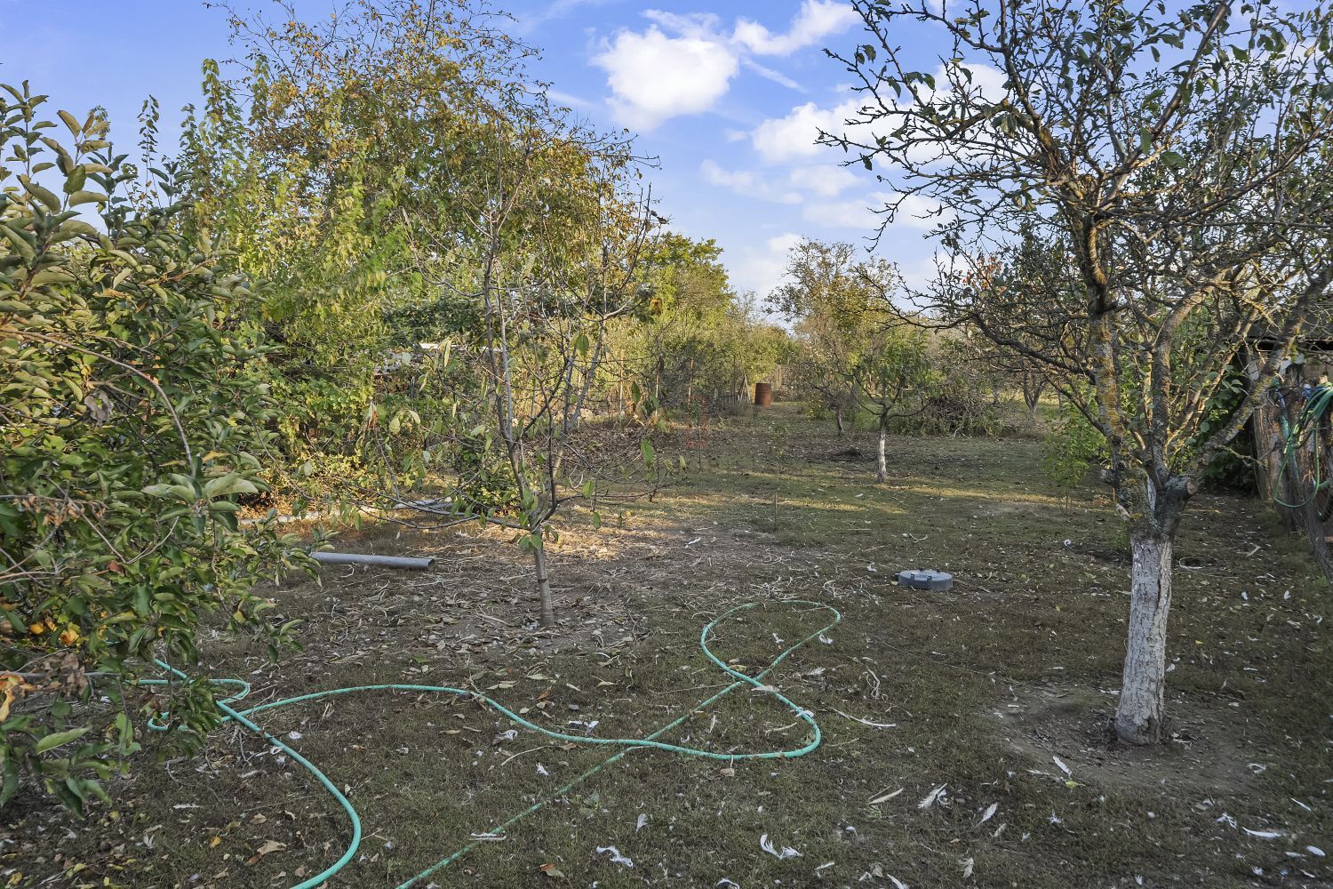 COMISION 0% | 2 Case cu Spatiu Comercial | Teren 1019mp | 540 eur/mp - Poză 43