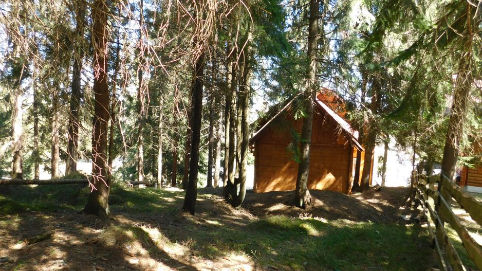 Casă de vacanta de vanzare, in Marisel, langa Cabana Motilor - Poză 19