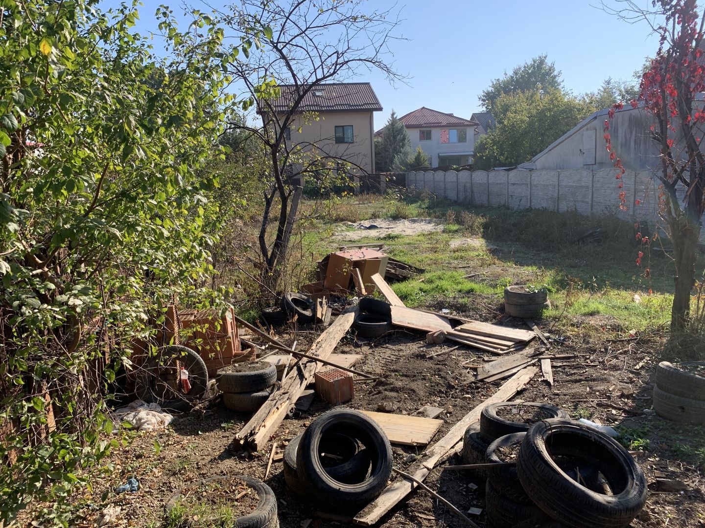 VANZARE TEREN 500MP-SISESTI-PADURE - Poză 7