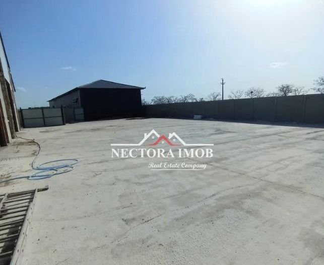 NECTORA IMOB-Hala industriala 1000 mp utili + 1500 mp teren, Aeroport - Poză 6
