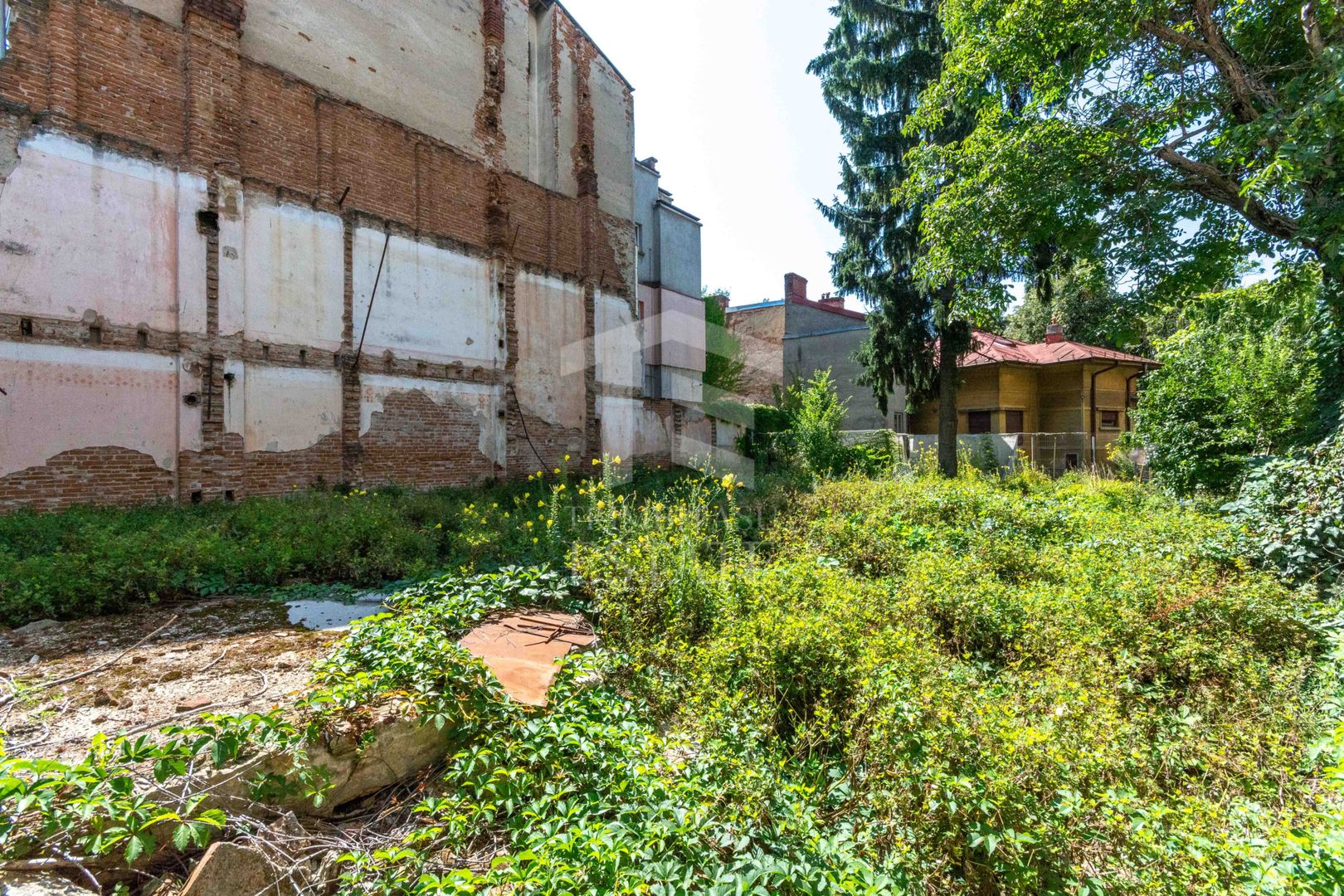 Stefan cel Mare - Tunari - Barbu Mumuleanu teren 381 mp - Poză 5