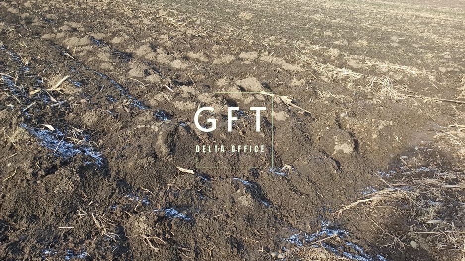 Teren 2906 mp - ideal investitie - Sarata - Poză 3