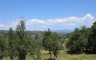 Fabrică de cherestea | Câmpeni | teren 8.000 mp - Poză 14